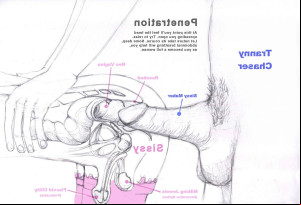 Preview of: The Anatomy Of A Sissy